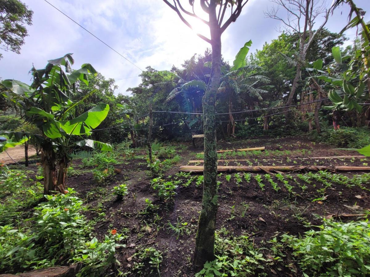 מונטה ורדה Granja Los Campesinos מראה חיצוני תמונה