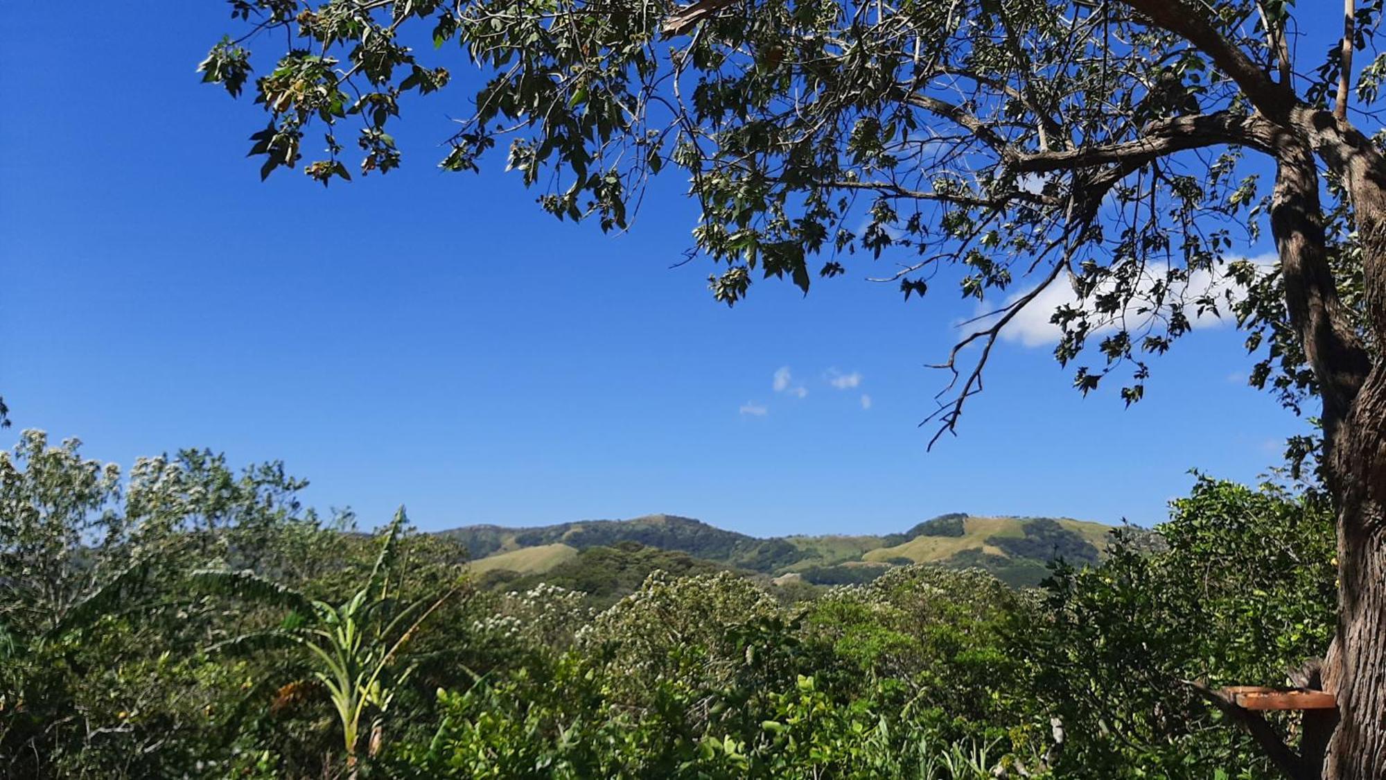 מונטה ורדה Granja Los Campesinos מראה חיצוני תמונה